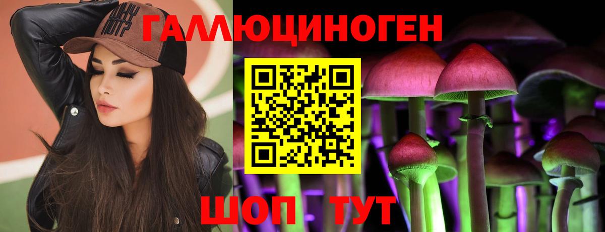 Псилоцибиновые грибы MAGIC MUSHROOMS  Вход с VPN  Лесозаводск 